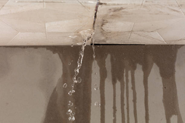 Professional Structural Drying technician working in Granite Canon, WY